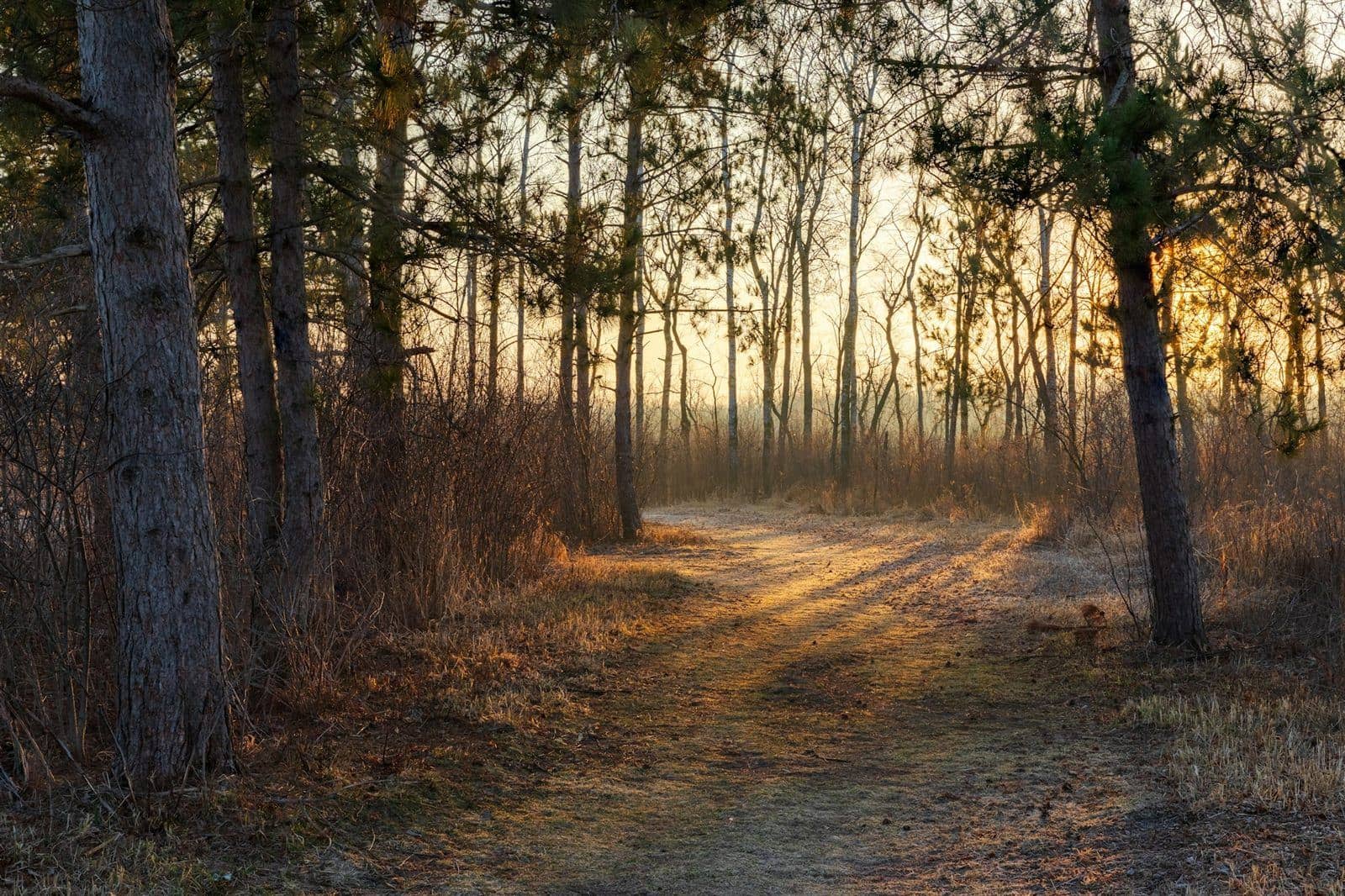 My method: the path to understand and resolve